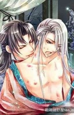 ao-rach-quan-manh-cau-nguoi-ngu