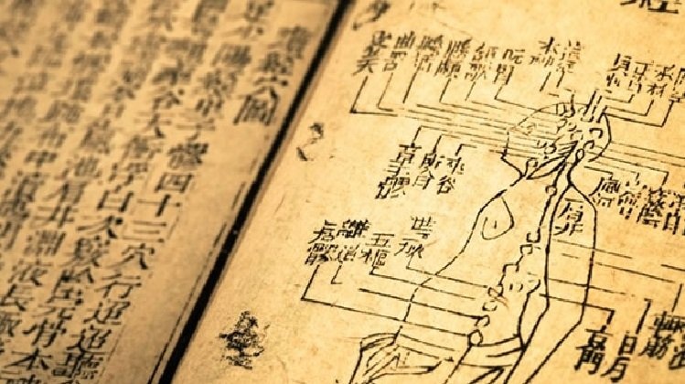 ban-luan-lam-sao-day-lao-dong-y-su-dung-bieu-cam-cho-chinh-xac