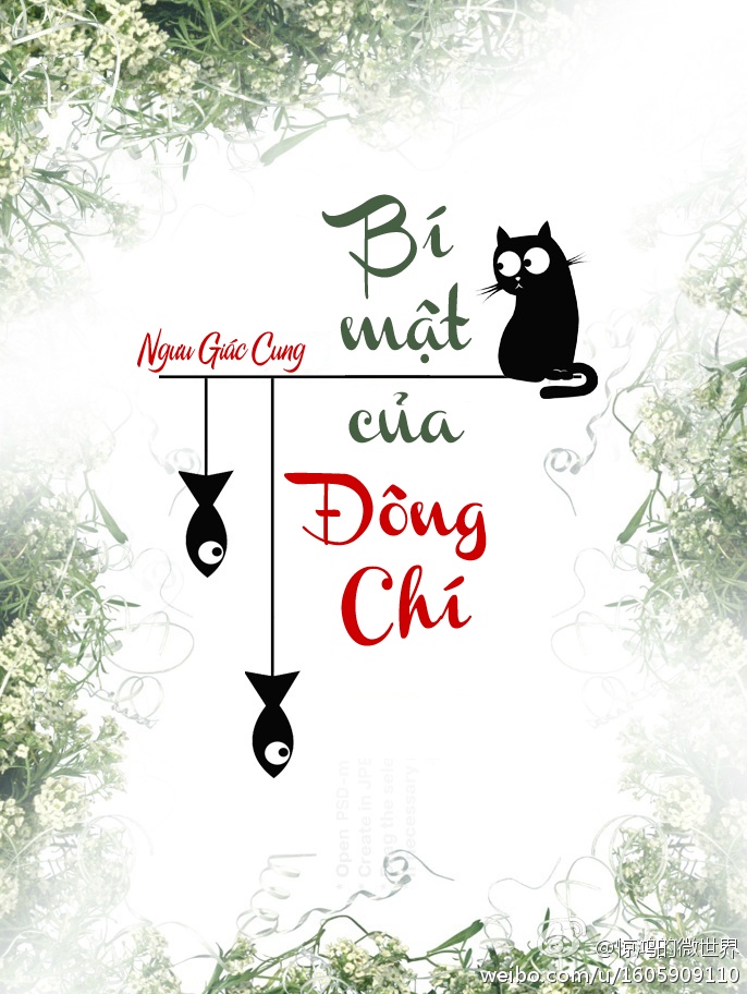 bi-mat-cua-dong-chi