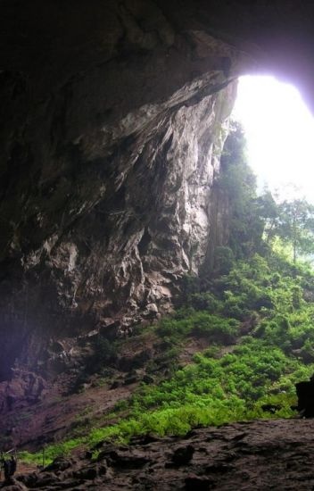 canh-xuan-trong-dong