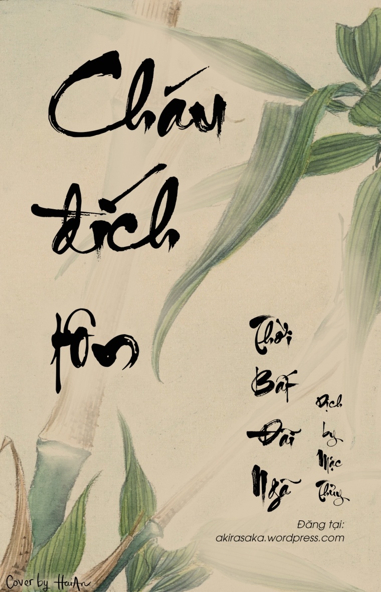 chau-dich-ton