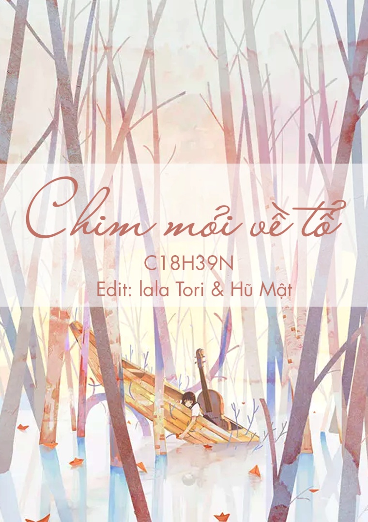 chim-moi-ve-to