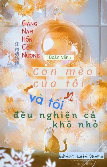 con-meo-cua-toi-va-toi-deu-nghien-ca-kho-nho