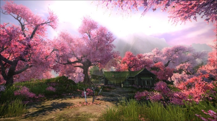 di-the-dao-hoa-trai