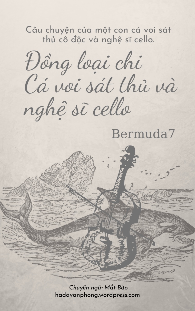 dong-loai-chi-ca-voi-sat-thu-va-nghe-si-cello