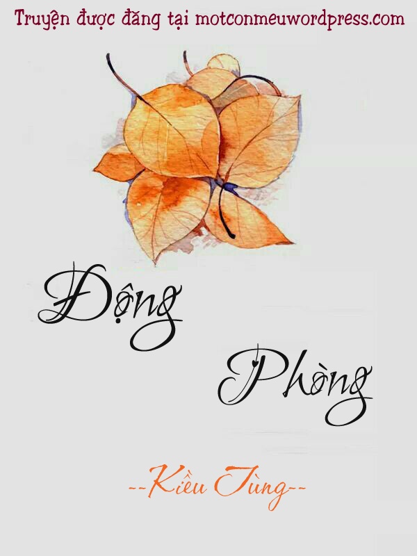 dong-phong-2