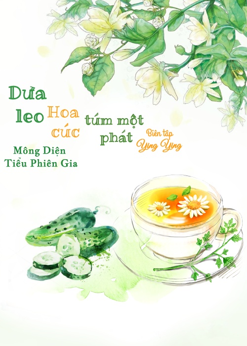 dua-leo-hoa-cuc-tum-mot-phat