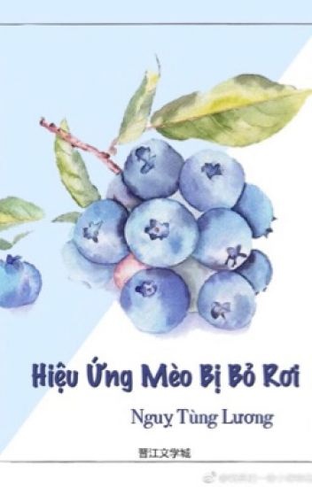 hieu-ung-meo-bi-bo-roi