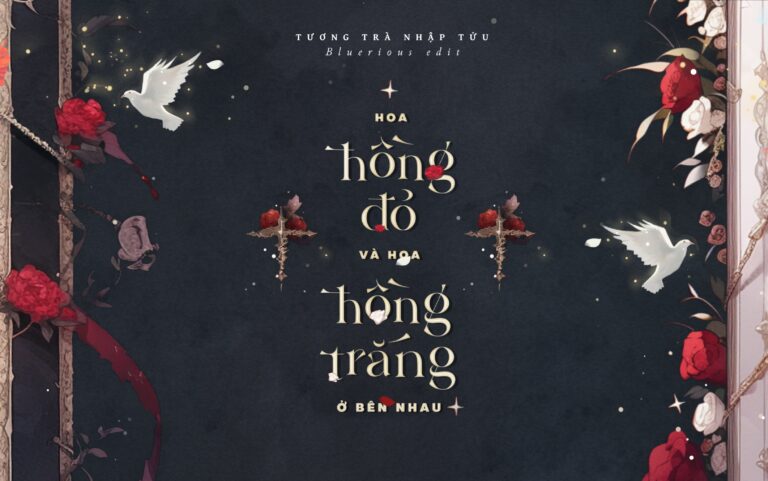 hoa-hong-do-va-hoa-hong-trang-o-ben-nhau