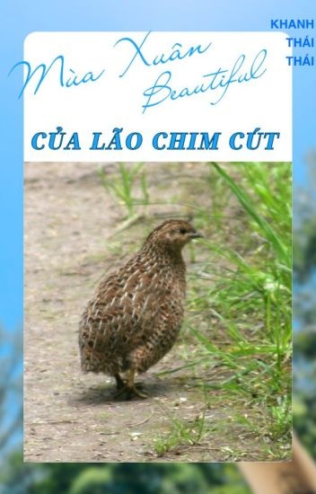 mua-xuan-tuoi-dep-cua-lao-chim-cut