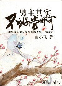 nam-chinh-khong-de-lam-dau