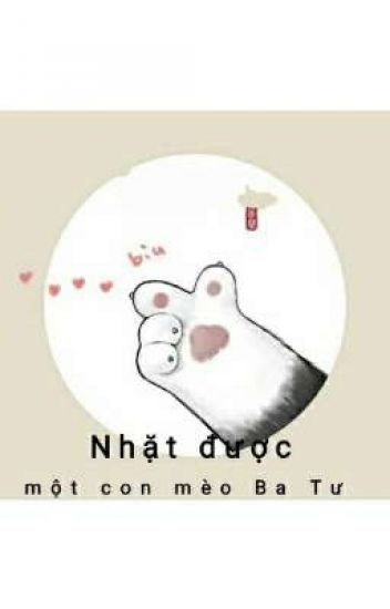 nhat-duoc-mot-con-meo-ba-tu