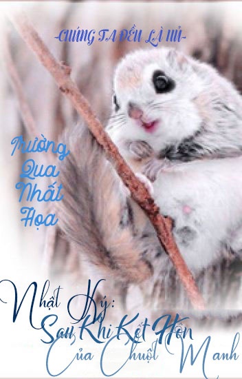 nhat-ky-sau-khi-ket-hon-cua-chuot-manh