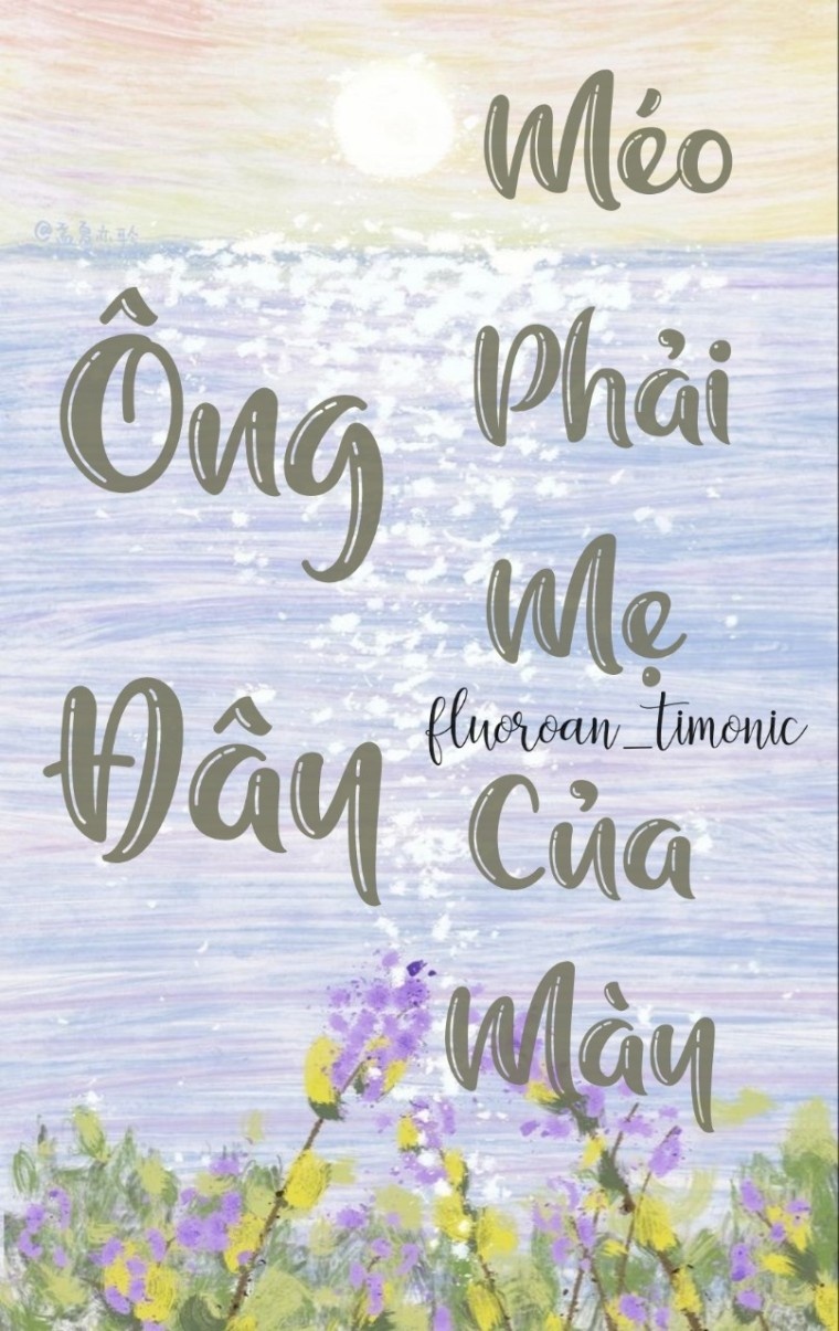 ong-day-meo-phai-me-cua-may