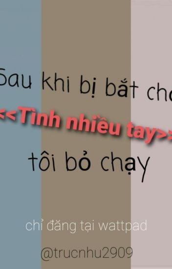 sau-khi-bi-bat-choi-tinh-nhieu-tay-toi-bo-chay