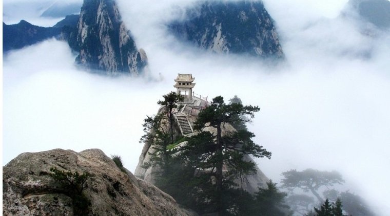 thuong-sinh-vi-nguoi