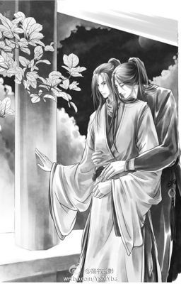 trong-sinh-chi-luu-ly-tuong